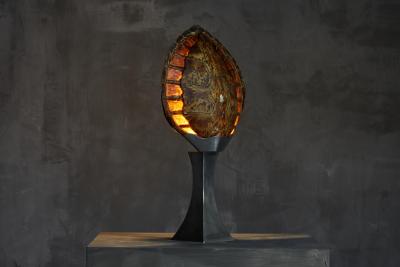  Christian Dior Christian Dior Turtle Shell Table Lamp France 1970s