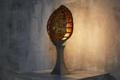  Christian Dior Christian Dior Turtle Shell Table Lamp France 1970s