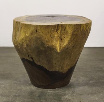  Costantini Design Carved Live Edge Solid Wood Trunk Table 10 by Costantini Francisco in Stock