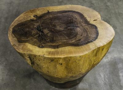  Costantini Design Carved Live Edge Solid Wood Trunk Table 10 by Costantini Francisco in Stock