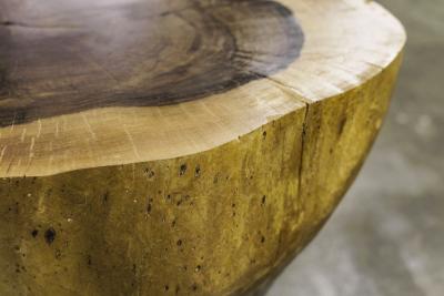  Costantini Design Carved Live Edge Solid Wood Trunk Table 10 by Costantini Francisco in Stock
