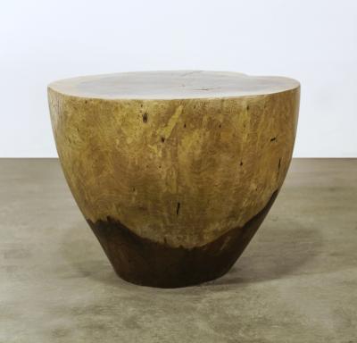  Costantini Design Carved Live Edge Solid Wood Trunk Table 16 by Costantini Francisco in Stock