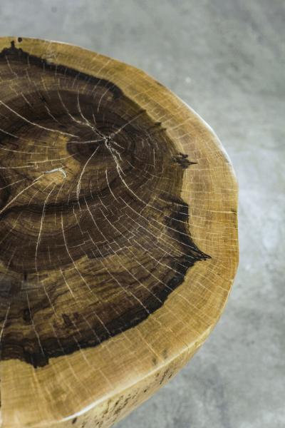  Costantini Design Carved Live Edge Solid Wood Trunk Table 16 by Costantini Francisco in Stock