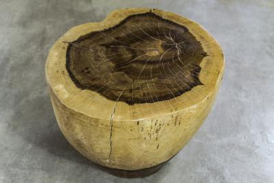  Costantini Design Carved Live Edge Solid Wood Trunk Table 16 by Costantini Francisco in Stock