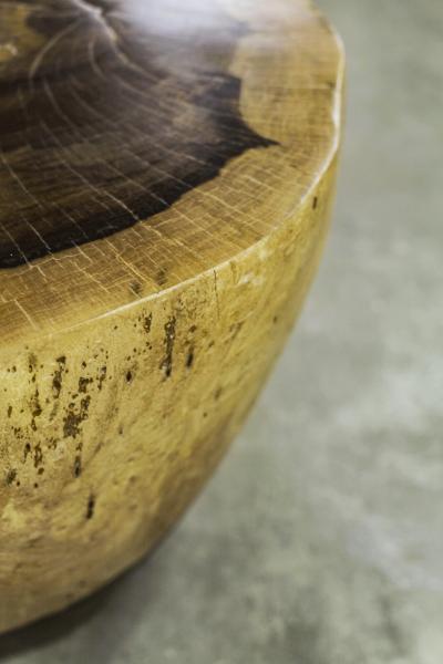  Costantini Design Carved Live Edge Solid Wood Trunk Table 16 by Costantini Francisco in Stock