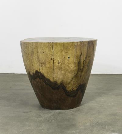  Costantini Design Carved Live Edge Solid Wood Trunk Table 20 by Costantini Francisco in Stock