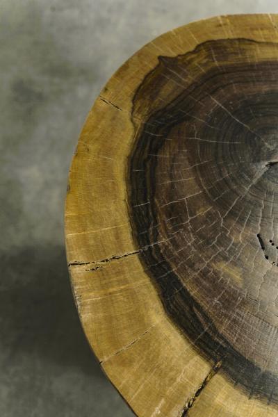  Costantini Design Carved Live Edge Solid Wood Trunk Table 20 by Costantini Francisco in Stock