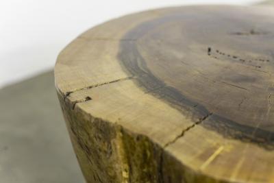  Costantini Design Carved Live Edge Solid Wood Trunk Table 20 by Costantini Francisco in Stock