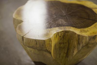  Costantini Design Carved Live Edge Solid Wood Trunk Table 3 by Costantini Francisco in Stock