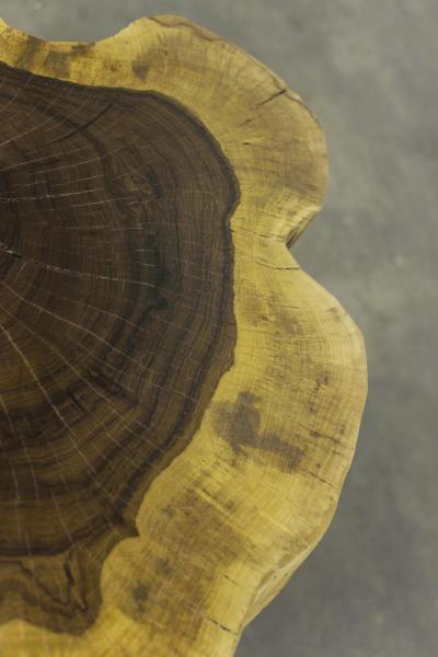  Costantini Design Carved Live Edge Solid Wood Trunk Table 3 by Costantini Francisco in Stock