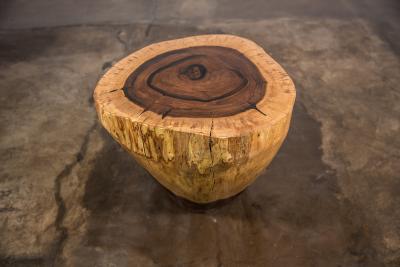  Costantini Design Carved Live Edge Solid Wood Trunk Table 31 by Costantini Francisco in Stock