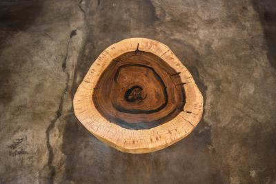  Costantini Design Carved Live Edge Solid Wood Trunk Table 31 by Costantini Francisco in Stock