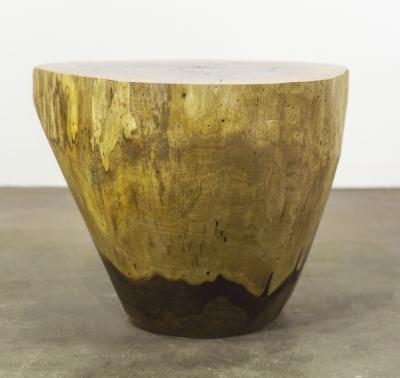  Costantini Design Carved Live Edge Solid Wood Trunk Table 4 by Costantini Francisco in Stock