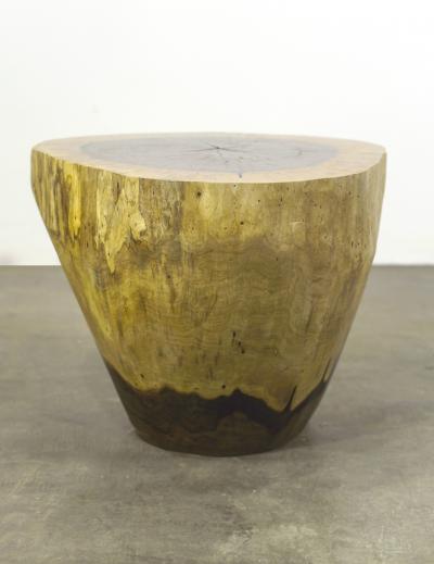  Costantini Design Carved Live Edge Solid Wood Trunk Table 4 by Costantini Francisco in Stock