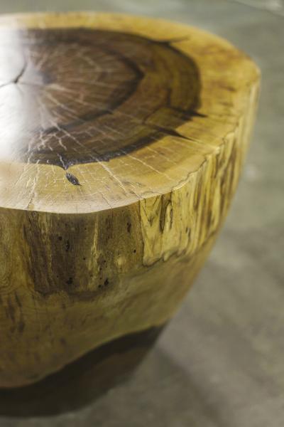  Costantini Design Carved Live Edge Solid Wood Trunk Table 4 by Costantini Francisco in Stock