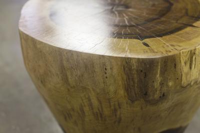  Costantini Design Carved Live Edge Solid Wood Trunk Table 4 by Costantini Francisco in Stock