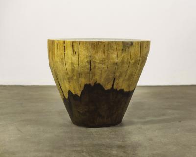  Costantini Design Carved Live Edge Solid Wood Trunk Table 9 by Costantini Francisco in Stock