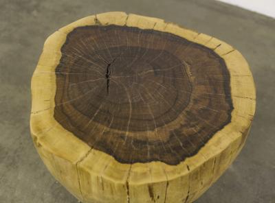  Costantini Design Carved Live Edge Solid Wood Trunk Table 9 by Costantini Francisco in Stock