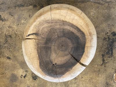  Costantini Design Carved Trunk Solid Exotic Wood Live Edge Table 30 from Costantini Francisco