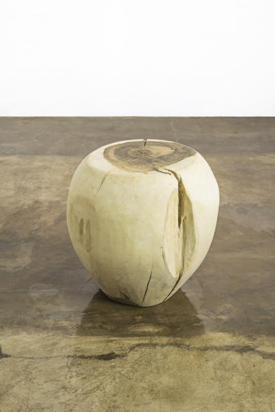  Costantini Design Carved Trunk Solid Exotic Wood Live Edge Table 30 from Costantini Francisco