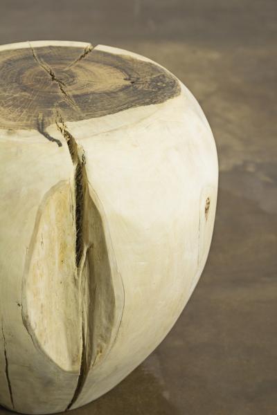  Costantini Design Carved Trunk Solid Exotic Wood Live Edge Table 30 from Costantini Francisco