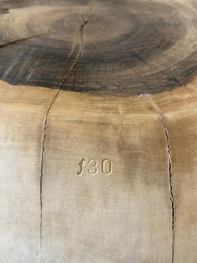  Costantini Design Carved Trunk Solid Exotic Wood Live Edge Table 30 from Costantini Francisco