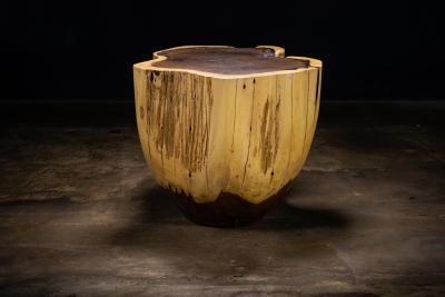  Costantini Design Carved Trunk Solid Exotic Wood Live Edge Table 39 from Costantini Francisco