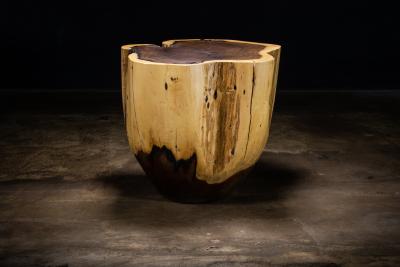  Costantini Design Carved Trunk Solid Exotic Wood Live Edge Table 39 from Costantini Francisco