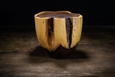  Costantini Design Carved Trunk Solid Exotic Wood Live Edge Table 39 from Costantini Francisco