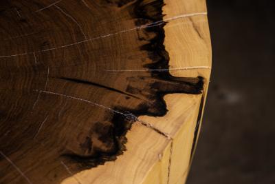  Costantini Design Carved Trunk Solid Exotic Wood Live Edge Table 39 from Costantini Francisco