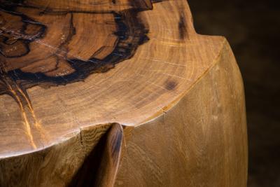  Costantini Design Carved Trunk Solid Exotic Wood Live Edge Table 40 from Costantini Francisco