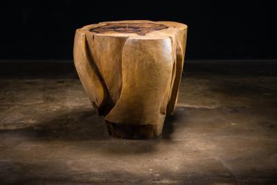  Costantini Design Carved Trunk Solid Exotic Wood Live Edge Table 40 from Costantini Francisco