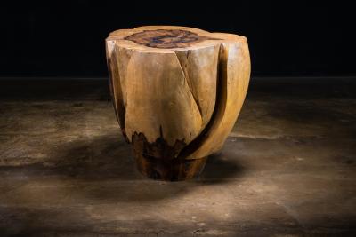  Costantini Design Carved Trunk Solid Exotic Wood Live Edge Table 40 from Costantini Francisco