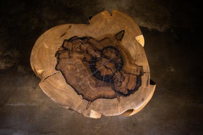  Costantini Design Carved Trunk Solid Exotic Wood Live Edge Table 40 from Costantini Francisco