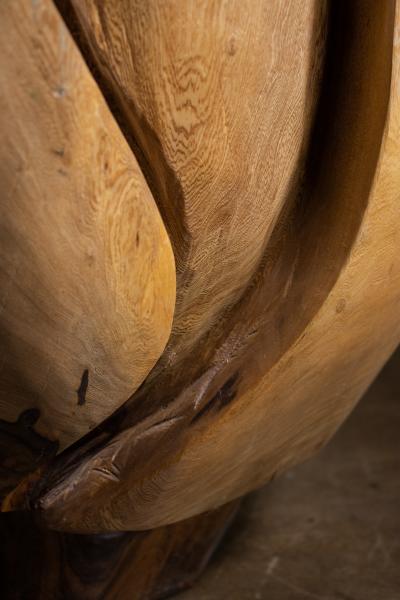  Costantini Design Carved Trunk Solid Exotic Wood Live Edge Table 40 from Costantini Francisco