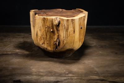  Costantini Design Carved Trunk Solid Exotic Wood Live Edge Table 41 from Costantini Francisco