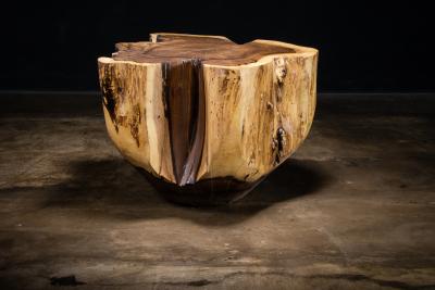  Costantini Design Carved Trunk Solid Exotic Wood Live Edge Table 41 from Costantini Francisco
