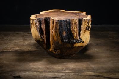  Costantini Design Carved Trunk Solid Exotic Wood Live Edge Table 41 from Costantini Francisco