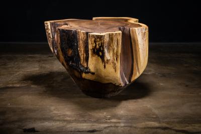  Costantini Design Carved Trunk Solid Exotic Wood Live Edge Table 41 from Costantini Francisco