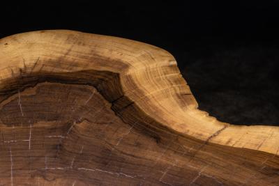  Costantini Design Carved Trunk Solid Exotic Wood Live Edge Table 41 from Costantini Francisco