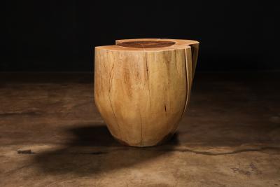  Costantini Design Carved Trunk Solid Exotic Wood Live Edge Table 42 from Costantini Francisco