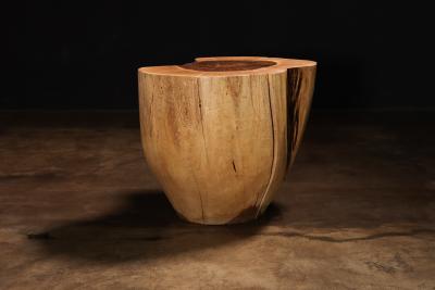 Costantini Design Carved Trunk Solid Exotic Wood Live Edge Table 42 from Costantini Francisco