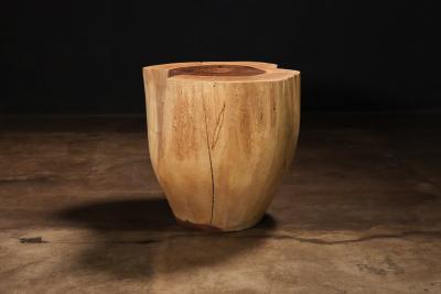  Costantini Design Carved Trunk Solid Exotic Wood Live Edge Table 42 from Costantini Francisco