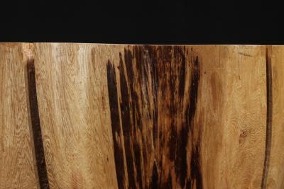  Costantini Design Carved Trunk Solid Exotic Wood Live Edge Table 42 from Costantini Francisco