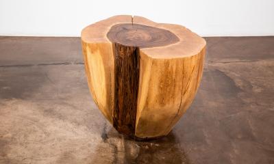  Costantini Design Carved Trunk Solid Exotic Wood Live Edge Table 42 from Costantini Francisco