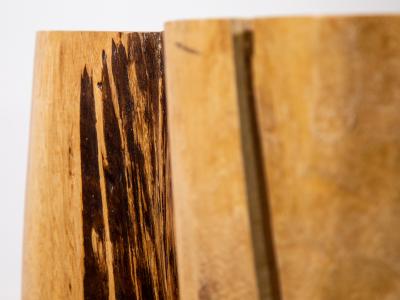  Costantini Design Carved Trunk Solid Exotic Wood Live Edge Table 42 from Costantini Francisco