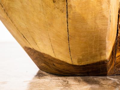  Costantini Design Carved Trunk Solid Exotic Wood Live Edge Table 42 from Costantini Francisco