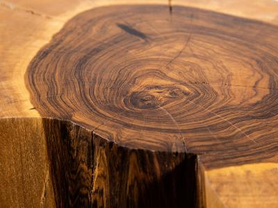  Costantini Design Carved Trunk Solid Exotic Wood Live Edge Table 42 from Costantini Francisco