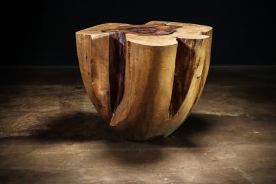  Costantini Design Carved Trunk Solid Exotic Wood Live Edge Table 43 from Costantini Francisco
