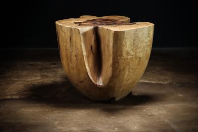 Costantini Design Carved Trunk Solid Exotic Wood Live Edge Table 43 from Costantini Francisco